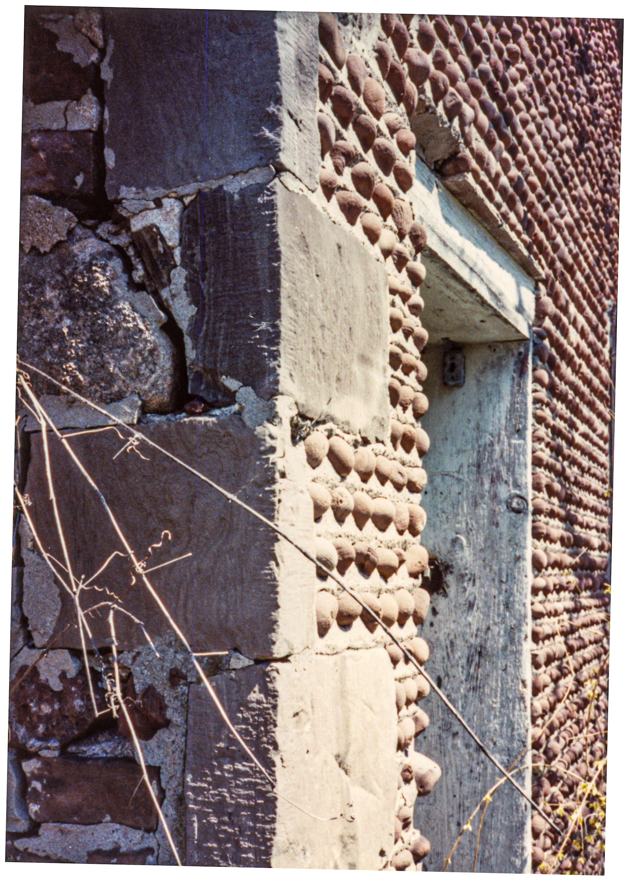 Sod-21 Camp Beechwood 2